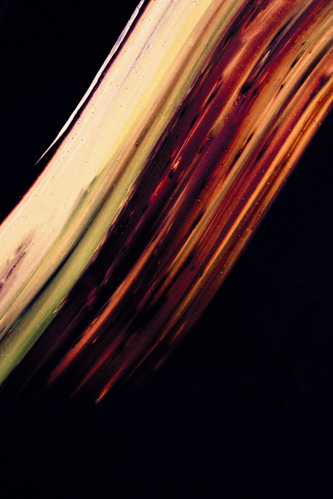 Project Image 1
